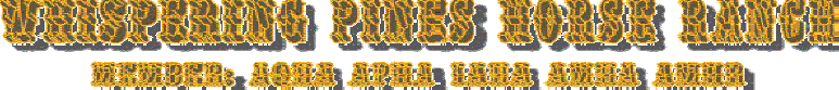 WPHR_Header.gif (19136 bytes)